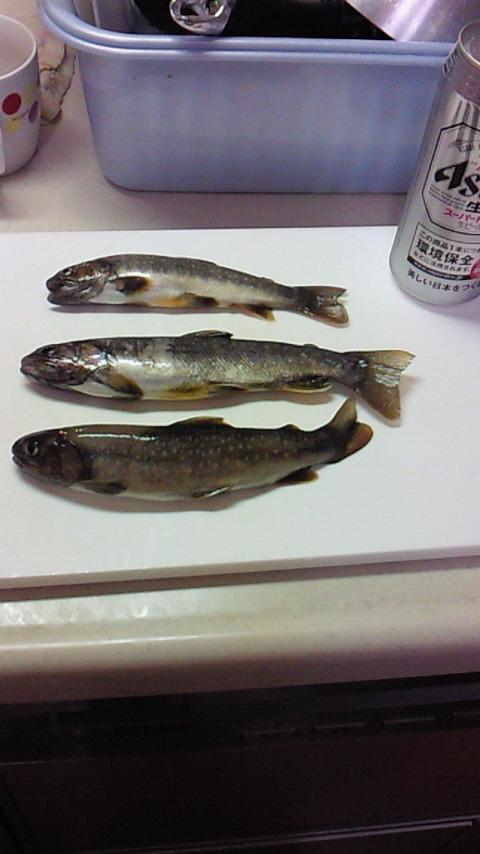 20100705kitamoto04