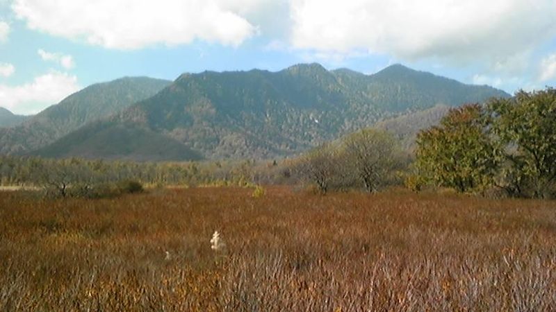 20101122hasuda03
