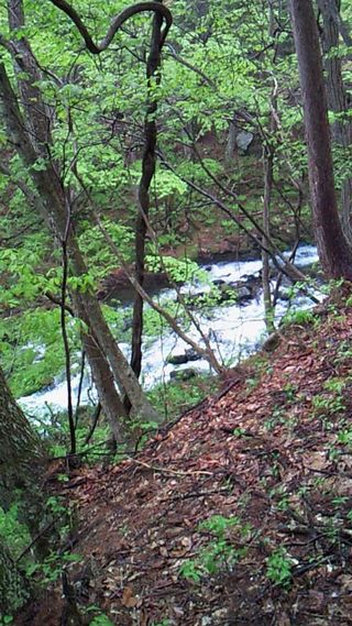 20100705kitamoto03