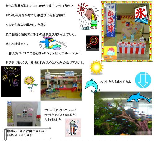 20100901Bhitachinaka