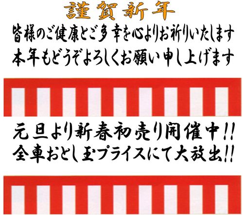 20110105hasuda