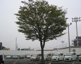 20111012takasaki02