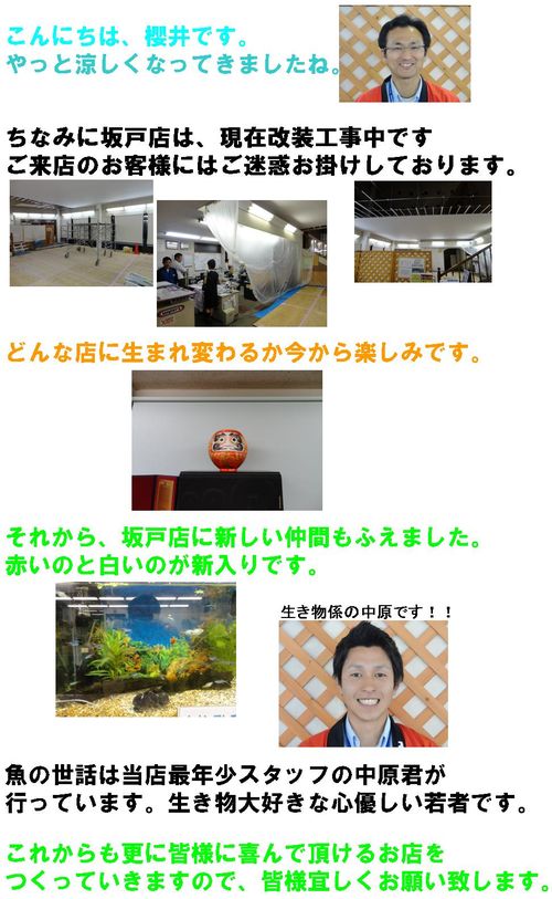 20121003sakado