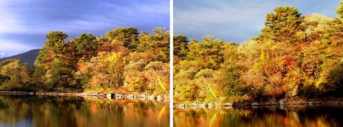 20121105Bmotomiya03