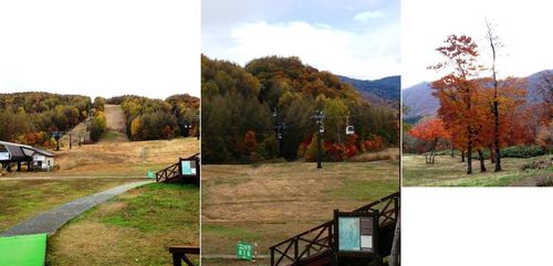 20121105Bmotomiya02