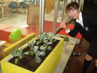 20091111kitamoto01